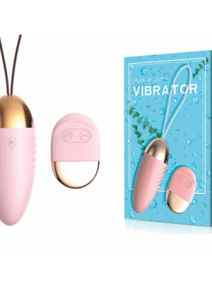 Uzaktan kumandalı yumurta vibratör